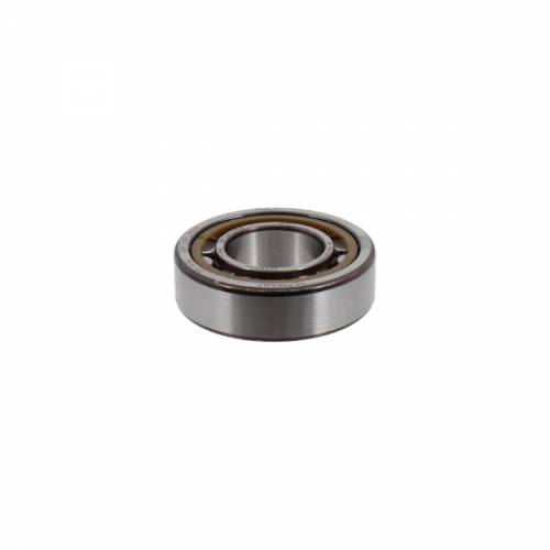 CUSCINETTO 25-52-15 A RULLI - SKF NU205 EPC-C3