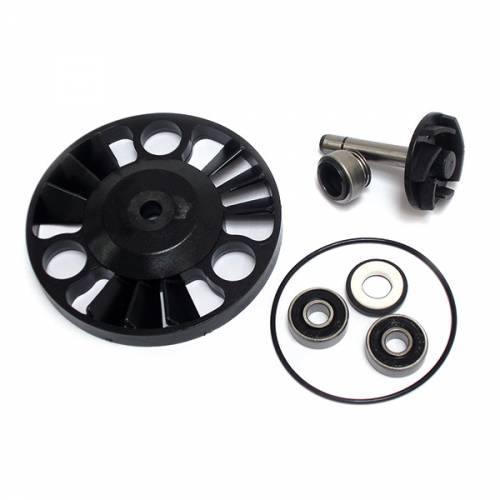 KIT REVISIONE GIRANTE POMPA ACQUA PIAGGIO 125-200 2001]