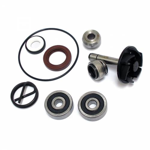 KIT REVISIONE GIRANTE POMPA ACQUA PIAGGIO 250 BEVERLY RST 2004[]2005